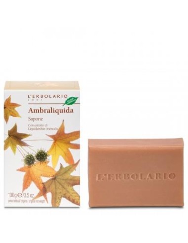 AMBRALIQUIDA SAPONE 100G