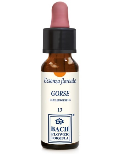 GORSE ORIGINAL 10ML GTT